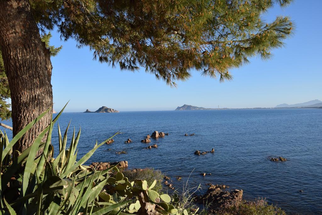 Appartamenti Da Vincenza Santa Maria Navarrese Exterior foto