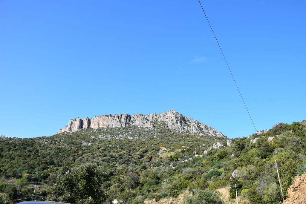 Appartamenti Da Vincenza Santa Maria Navarrese Exterior foto
